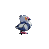 Pidove back shiny sprites