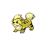Growlithe front shiny sprites
